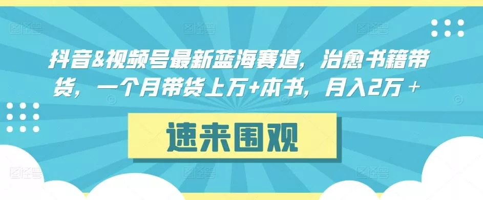 抖音&amp;视频号最新蓝海赛道，治愈书籍带货，一个月带货上万+本书，月入2万＋【揭秘】