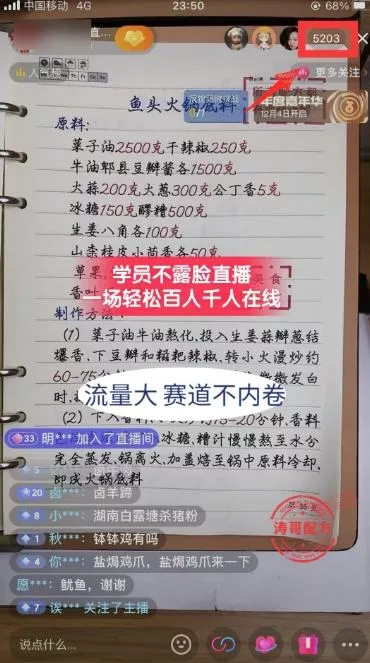 (8539期)商业IP-孵化训练营新版，教你做商业Ip，做好人设，流量搞好钱