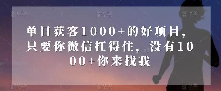 单日获客1000+的好项目,只要你微信扛得住,没有1000+你来找我【揭秘】