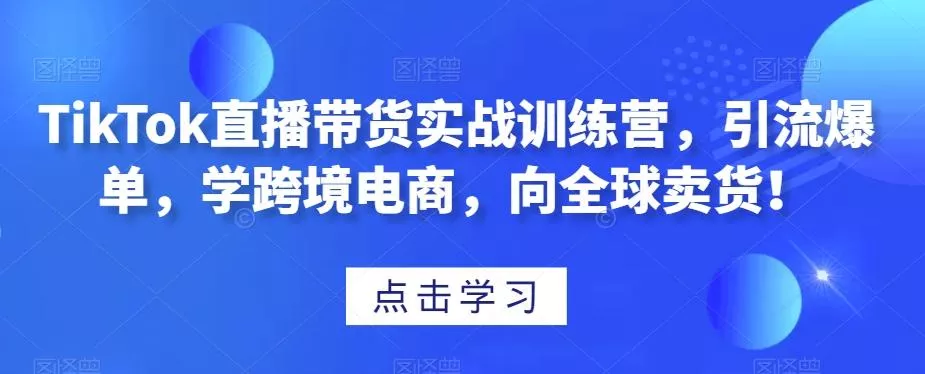 TikTok直播带货实战训练营,引流爆单,学跨境电商,向全球卖货!