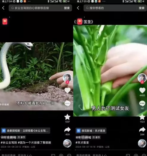 墨竹老师·从0基础到AI高手(第二期)