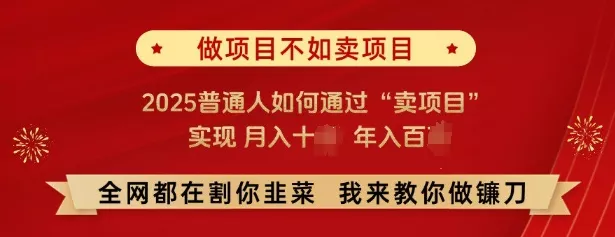 必看,做项目不如卖项目,2025普通人如何通过“卖项目”实现月入十个,年入百个