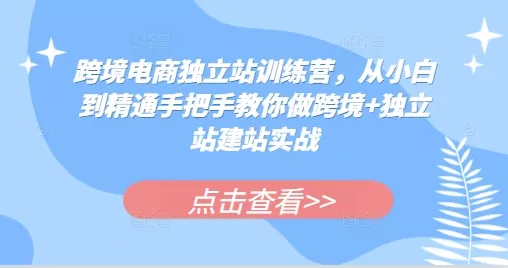 跨境电商独立站训练营,从小白到精通手把手教你做跨境+独立站建站实战