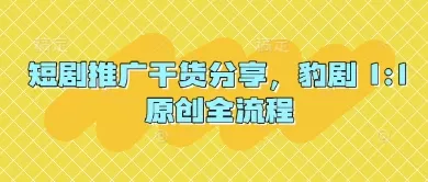短剧推广干货分享，豹剧 1:1原创全流程