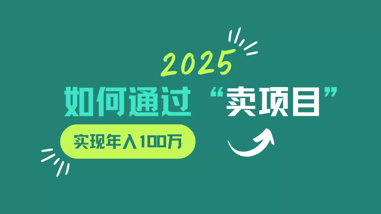 2025年如何通过“卖项目”实现年入100w