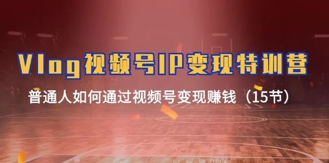 Vlog 视频号IP变现特训营，普通人如何通过视频号变现赚钱(15节