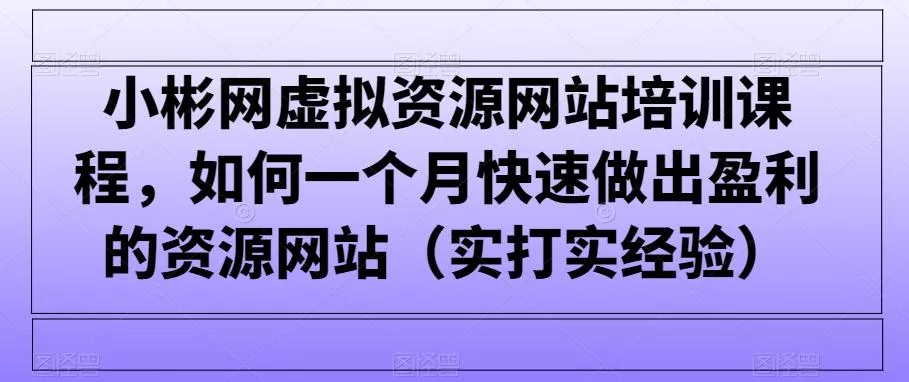 小彬网虚拟资源网站培训课程,如何一个月快速做出盈利的资源网站(实打实经验)