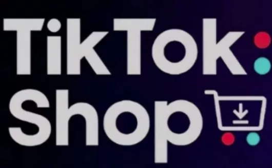 TikTokShop跨境电商0-1实战，手把手教你低成本启动海外市场