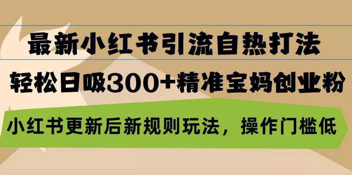 最新小红书引流自热打法，轻松日吸300+精准宝妈创业粉，小红书更新后新...