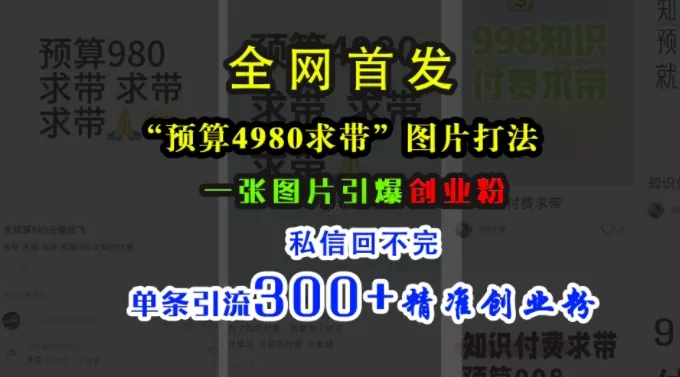 小红书“预算4980带我飞”图片打法,一张图片引爆创业粉,私信回不完,单条引流300+精准创业粉
