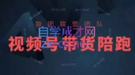 狼团联盟·2024视频号带货