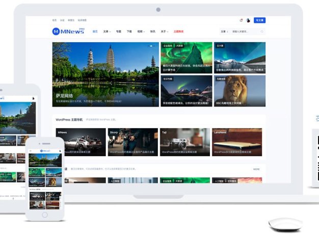 萨龙龙自媒体主题 MNews Pro v4.8.0 解除域名无限制版